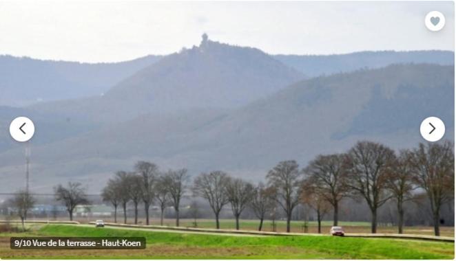 Gite De L'Aubach Ebersheim Екстер'єр фото